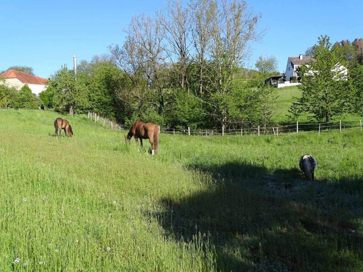 Appartamento Ferien Auf Dem Land Warstein Esterno foto